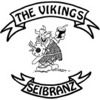 Logo Thevikings